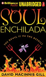 Soul Enchilada By David Macinnis Gill